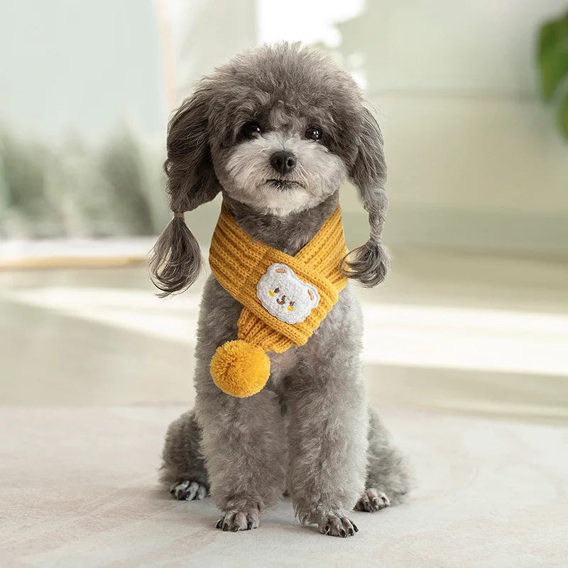 Cute gray poodle wearing a yellow knit dog scarf with bear face indoors
