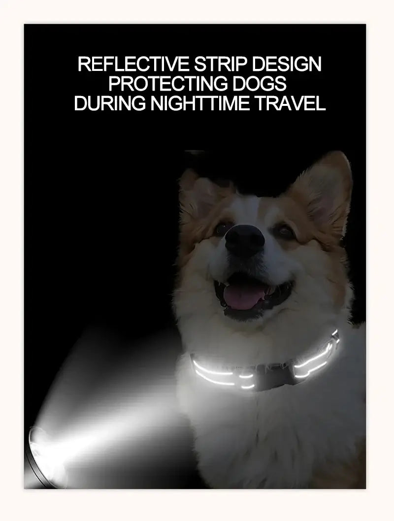 Reflective small dog choker collar with buckle for nighttime safety on dogs, glowing strip design