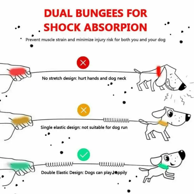 Dual bungees for shock absorption in retractable hands free dog leash, preventing strain for both dog and owner.
