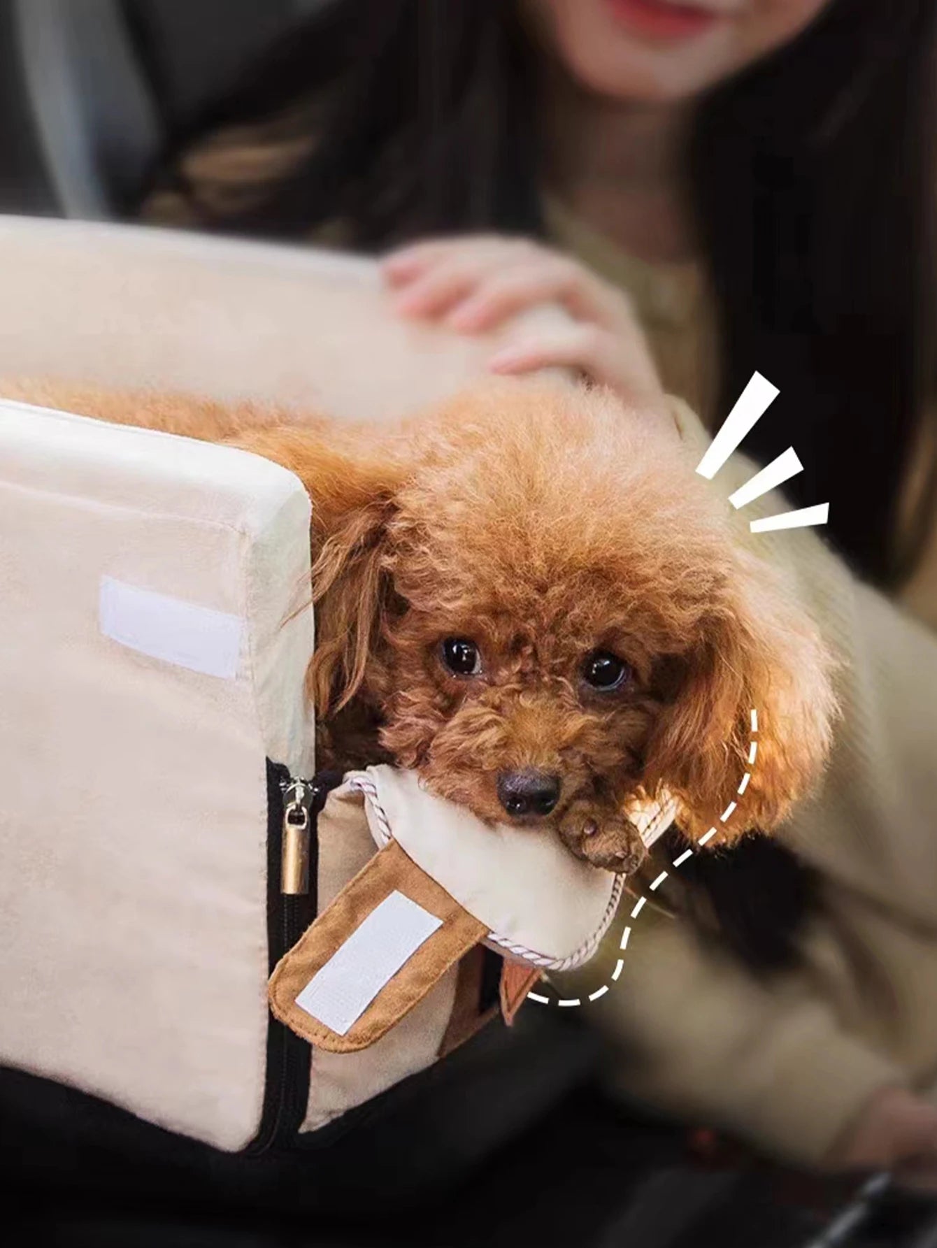 small dog car bed with a cozy poodle resting in a soft pet basket for safe, warm travel