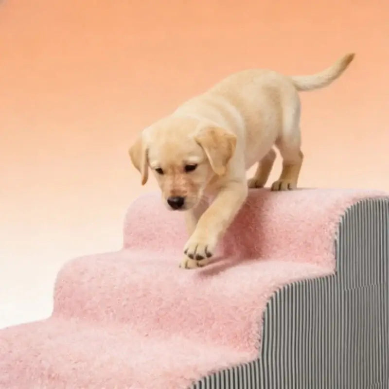 Pet 2/3 Steps High Density Foam Dog Secure Stairs Ramps Non-Slip Pet Steps for Older Dogs Pet with Joint Pain Sofa Bed Ladder