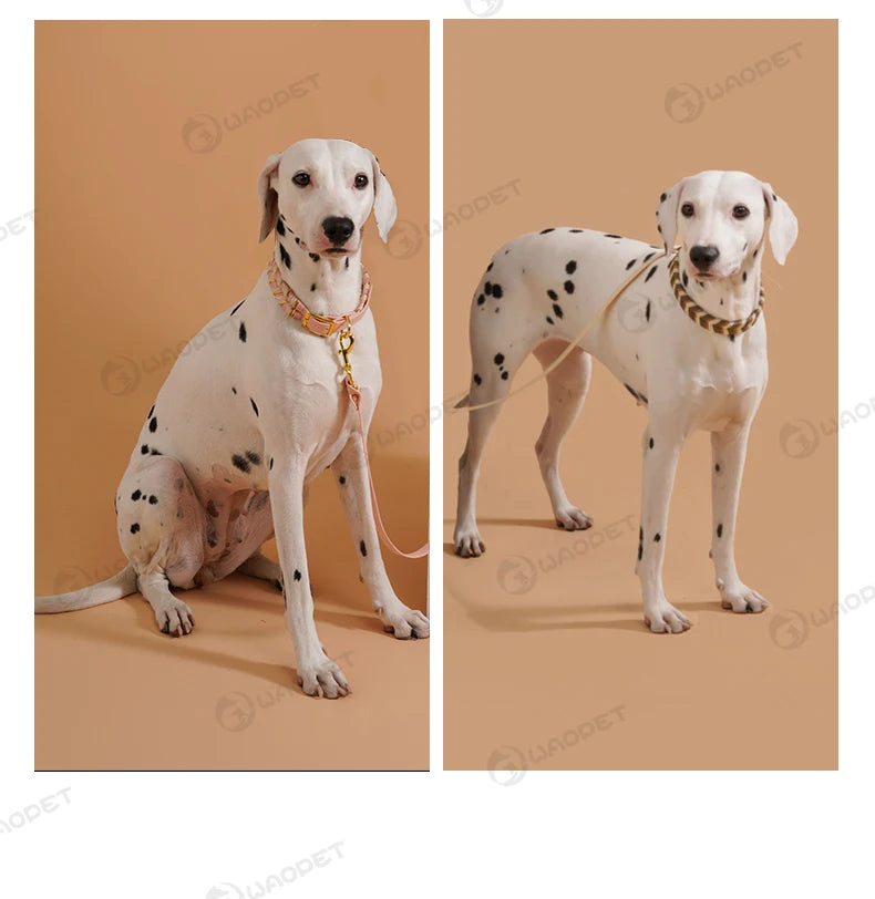 S2b5d725c400645b6b703bd6754a32469e - bestdoggylife.shop