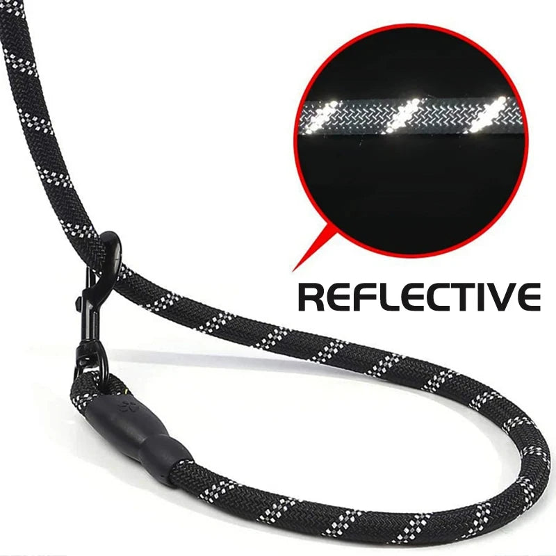 S2c12e0593038478398b6b212584056bcV - bestdoggylife.shop
