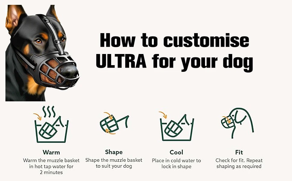 Dog wearing a basket muzzle with illustrated steps to shape and fit an adjustable dog muzzle.
