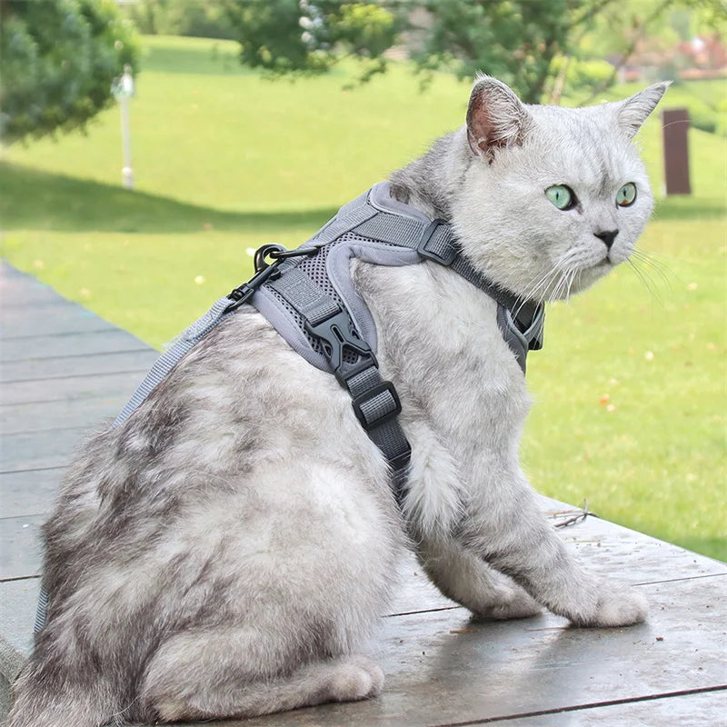 reflective cat harness and leash set on gray cat outdoors, breathable mesh vest harness for small pets
