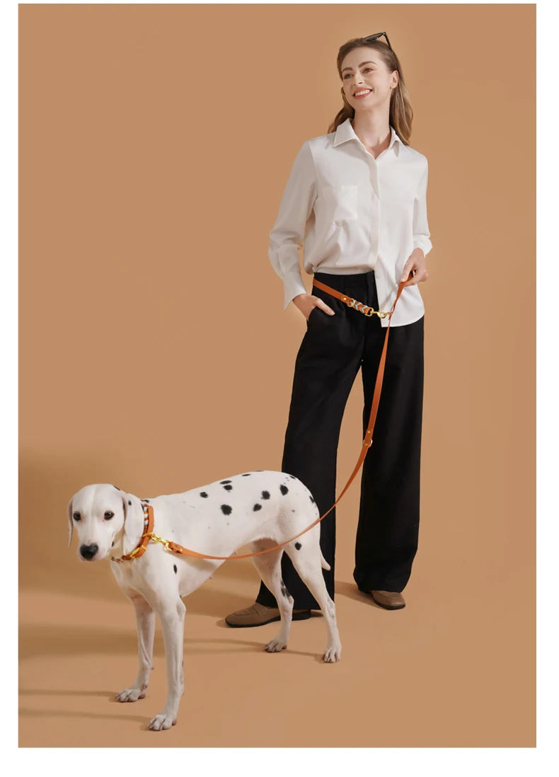 Woman walking a dog with a hands free dog leash, showing a durable, colorful leash for medium and large dogs