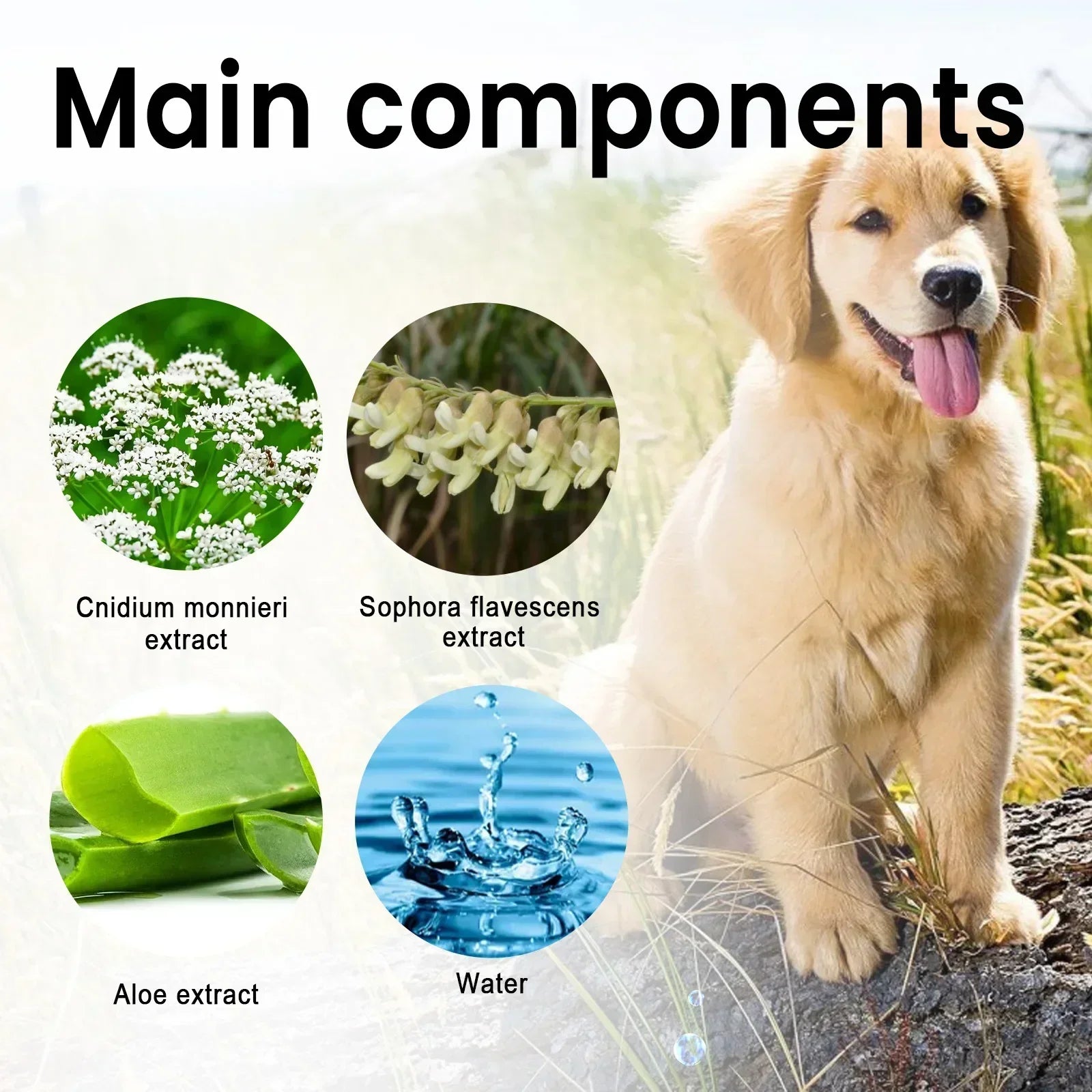 dog hair loss supplement with natural extracts, aloe, and water for safe pet hair growth support for dogs and s