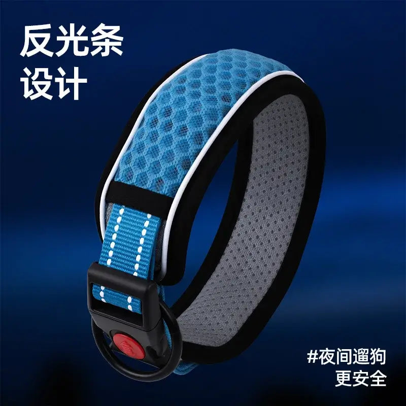 Reflective dog collar with blue padded design for safer night walking and comfortable puppy control