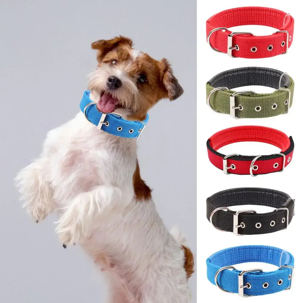 adjustable nylon dog collar for small dogs with traction ring, durable colorful pet neck strap
