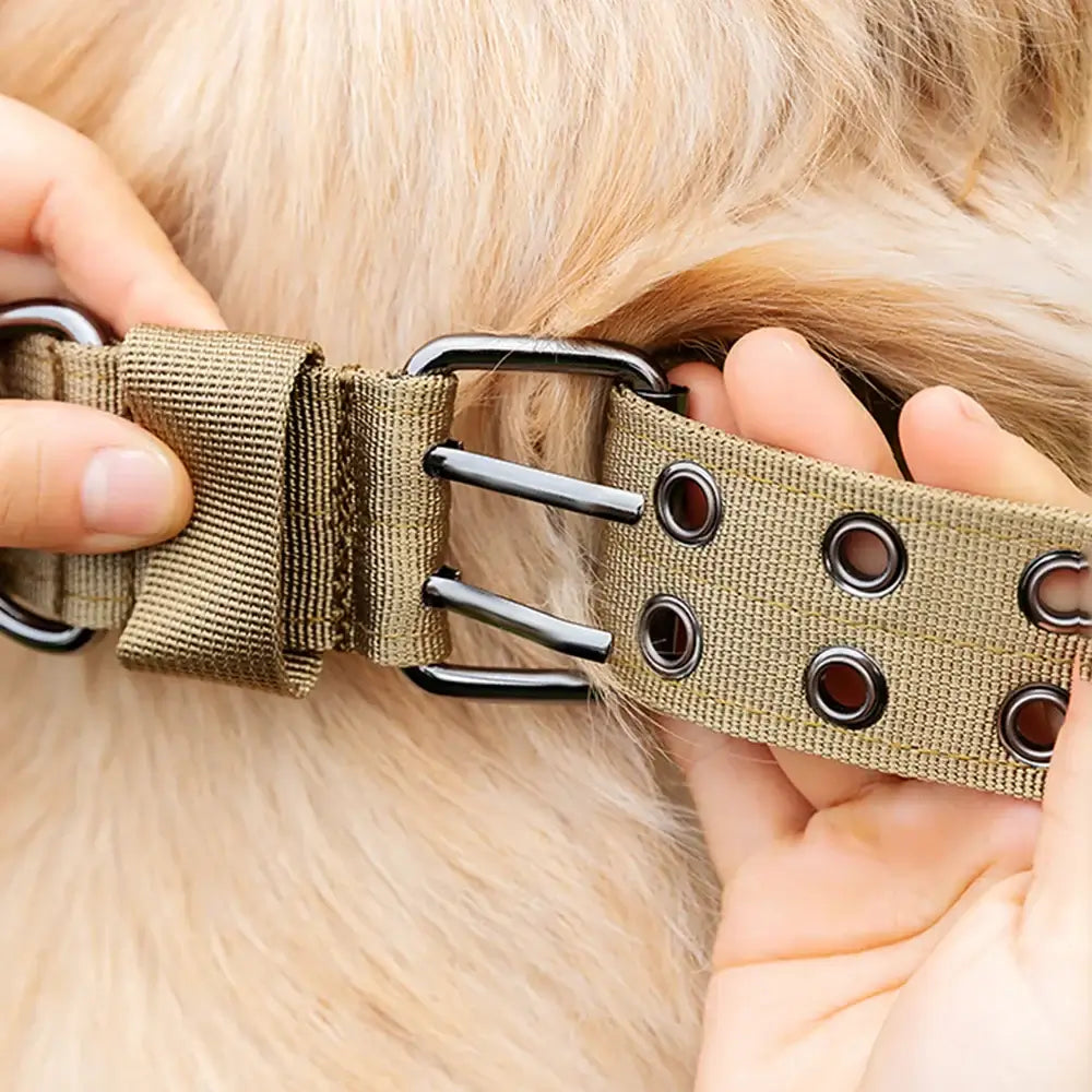 Adjustable Military Dog Collar Metal D-Ring and Buckle Working Dog Collar, Five-Level Adjustment for Medium and Large Dogs