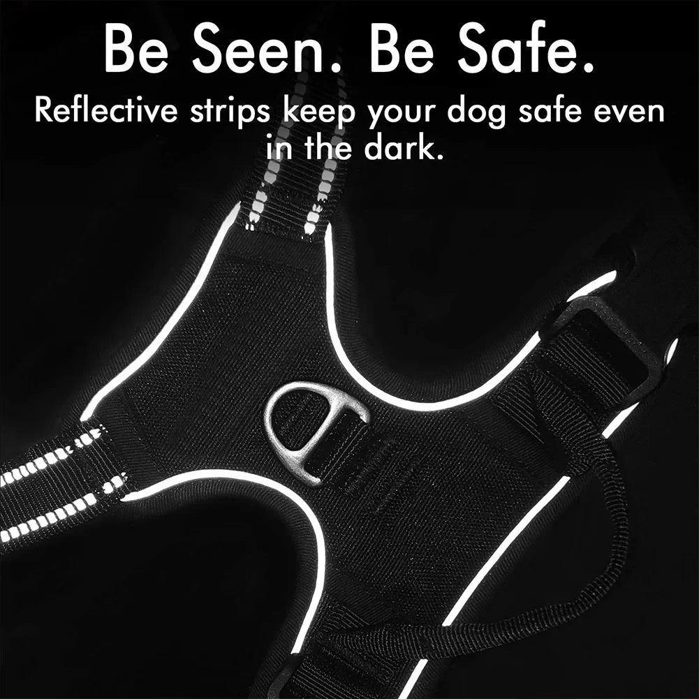 S323d47177f4747c98d129100b05d7d26m - bestdoggylife.shop