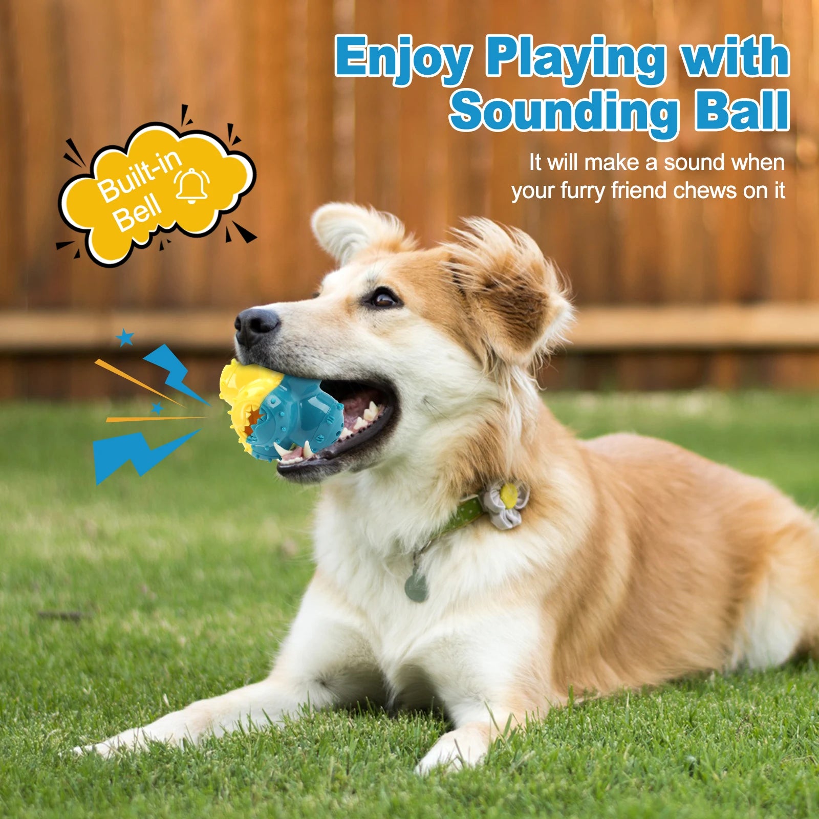 S3289ec4ee88d488b8df46882dbc311aez_8b082242-4af6-421e-a662-cec8514cb7b1 - bestdoggylife.shop