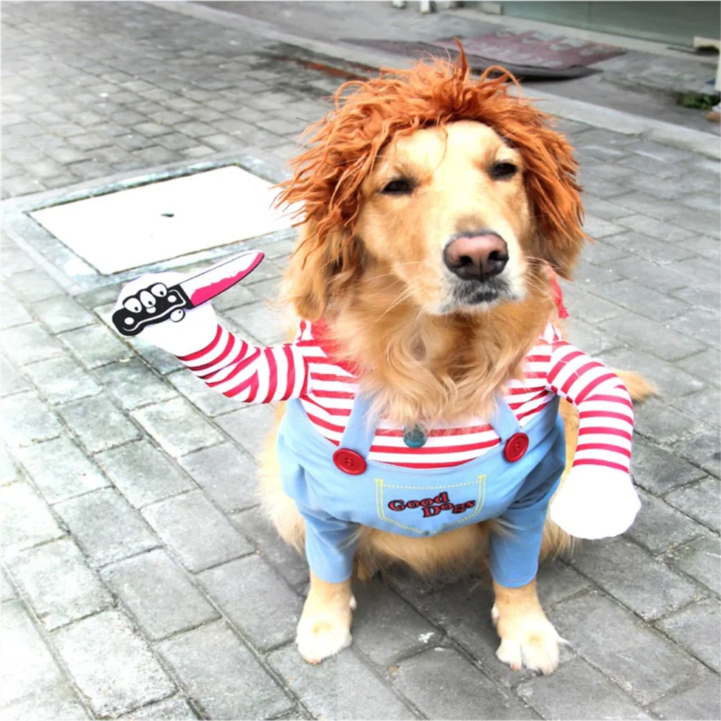 Golden retriever wearing funny striped dog costume with wig and plush knife on sidewalk