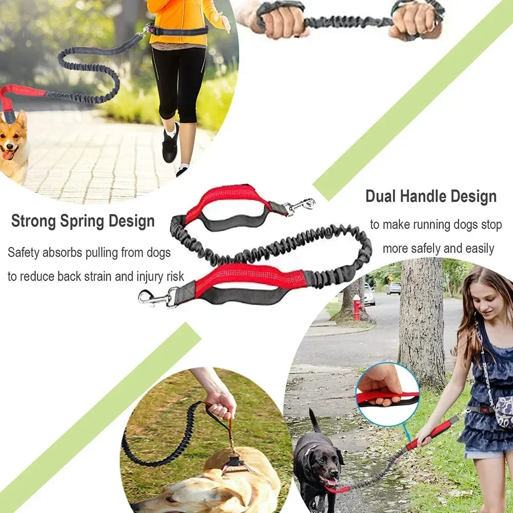 S36c786a60b454a5e8152affdecbd30613 - bestdoggylife.shop