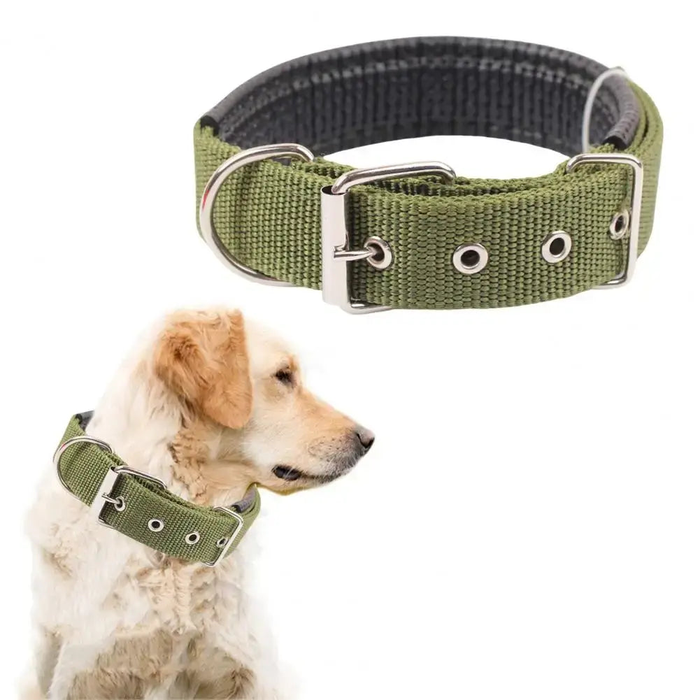 adjustable nylon dog collar with metal buckle, traction ring, and durable green design for dogs