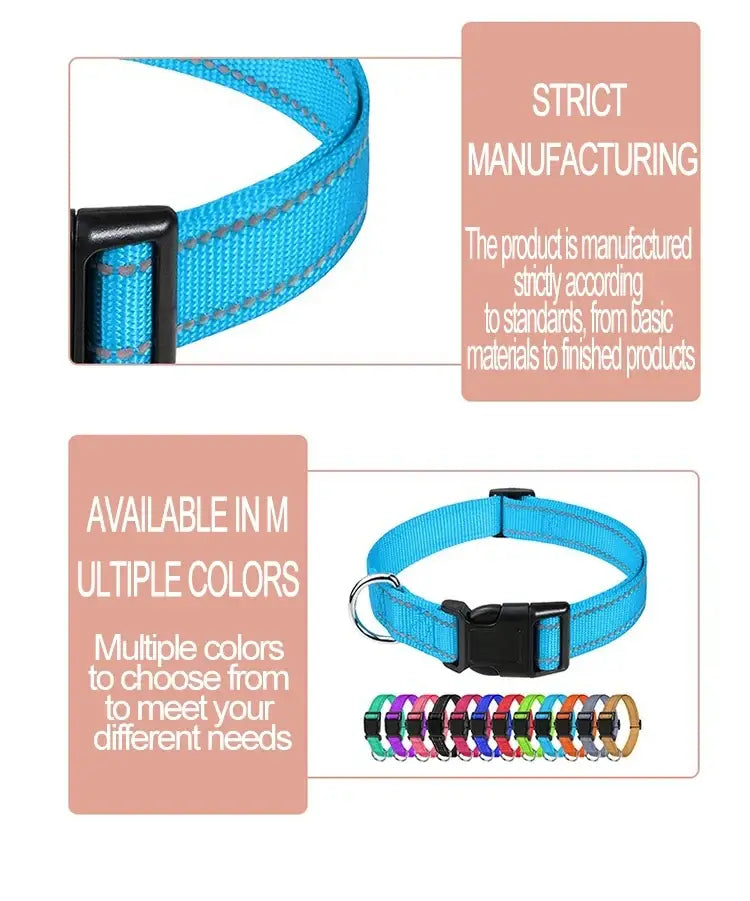 small dog choker collar blue nylon buckle dog collar with strict manufacturing and multiple colors