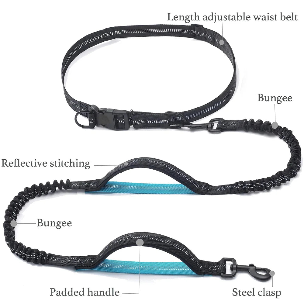 S395b92d30c3e4a9a9156f3c5810c26bbA - bestdoggylife.shop