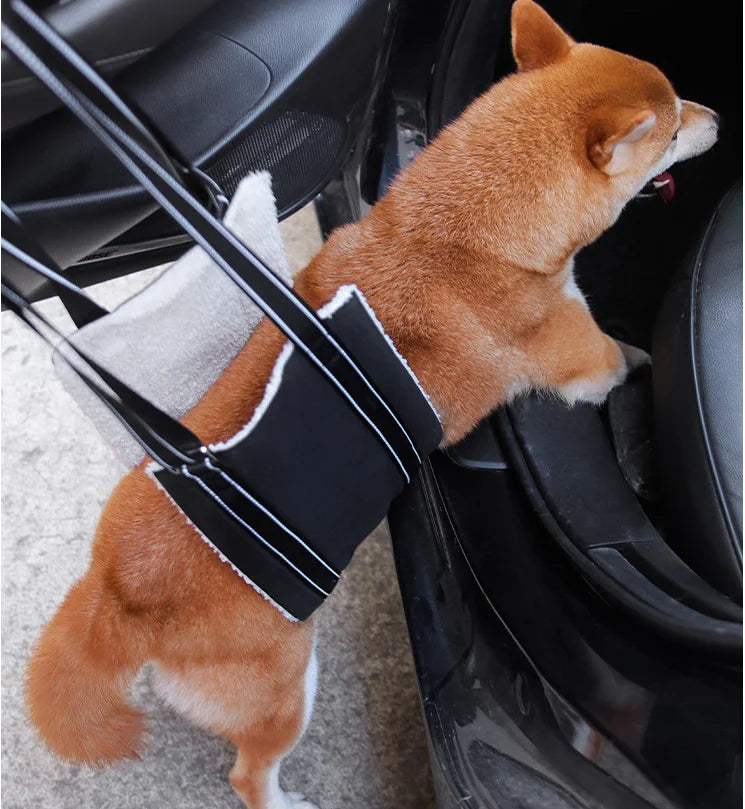 S40de856ea8b948e98b7dbfc29e96788dY - bestdoggylife.shop