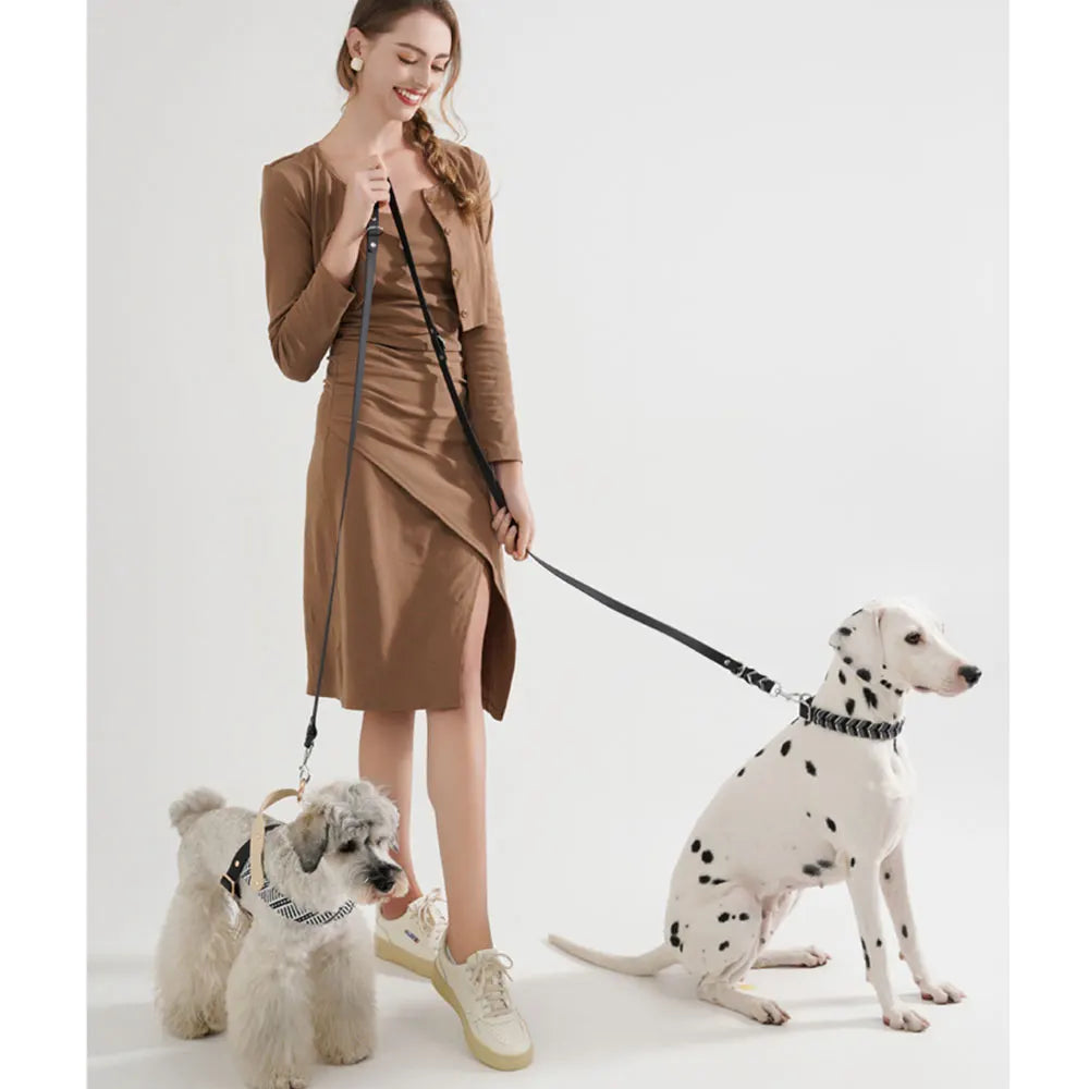 Woman using hands free dog leash with two dogs, durable multifunctional leash for medium and large pets