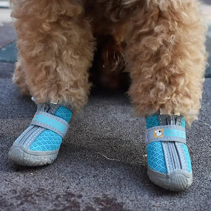 Dog wearing Dog Shoes Non-Slip Soles Thick Plush Protection Paw Pet Shoes Warm For Dog Non-Slip Dog Shoes Breathable Climbing Pets Booties.