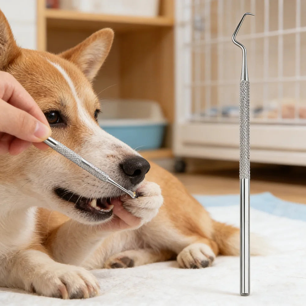 Dog oral care with stainless steel pet tartar cleaning kit for safe at-home tartar removal