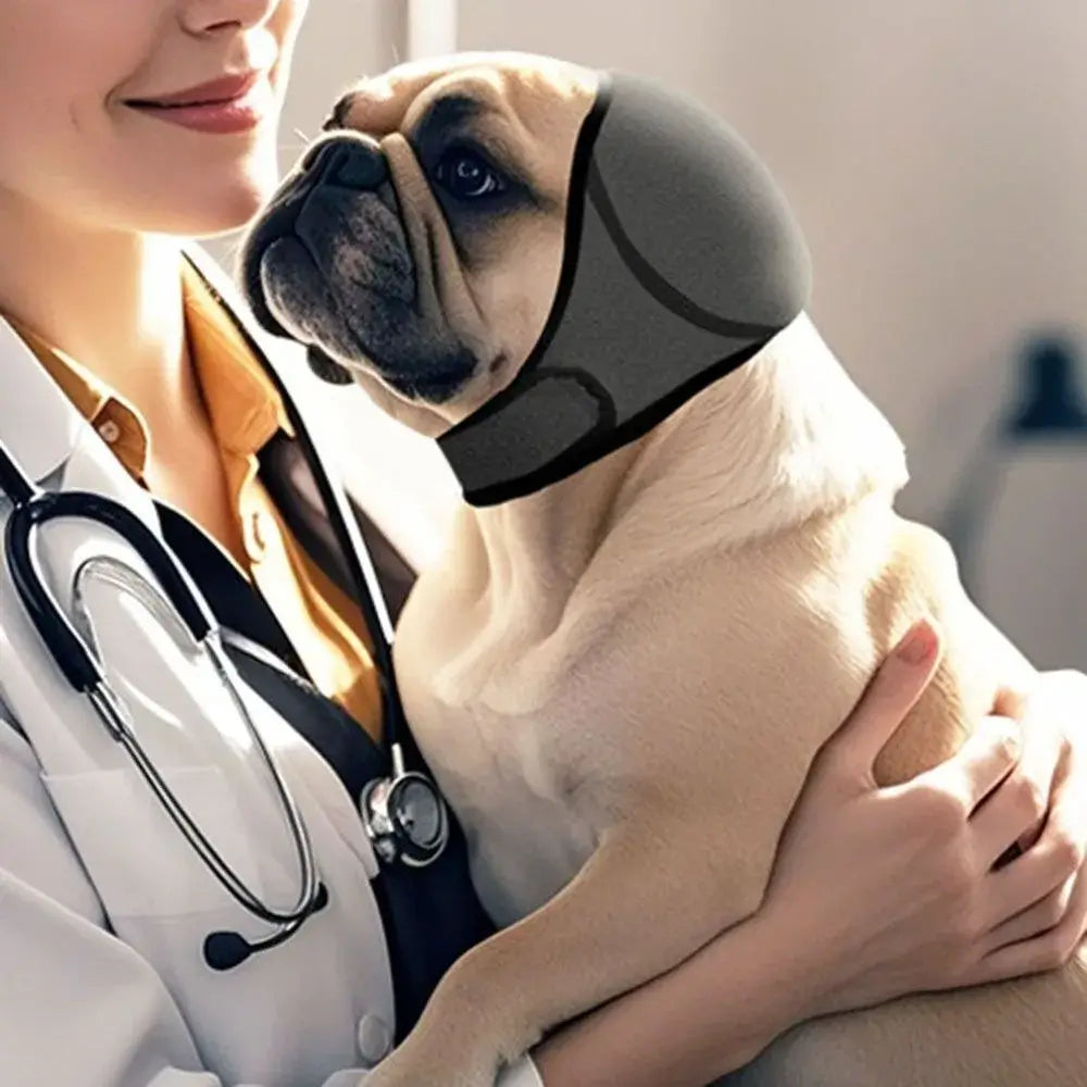 Calming Noise Cancelling Headphones for Dogs - Waterproof, Shockproof Hearing Protectors on a pug with a vet.