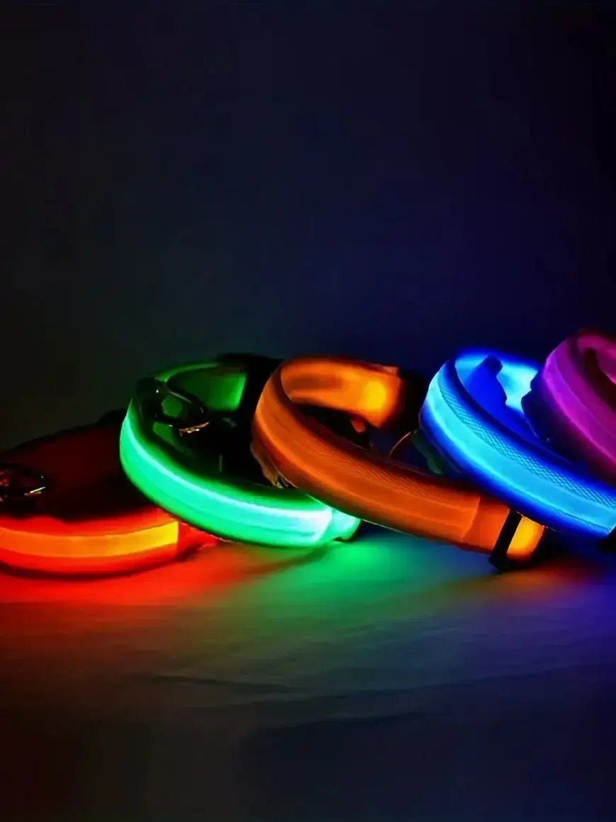 LED dog collar for night safety, glowing multicolor nylon pet collars for small and medium dogs in the dark