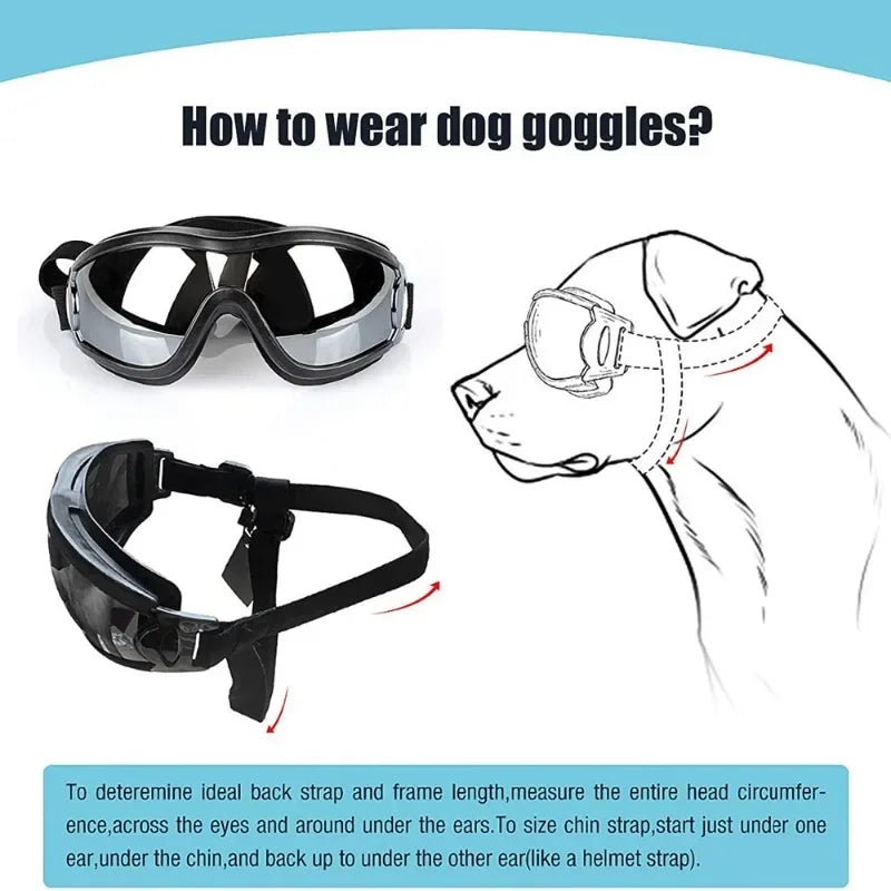 S45dbdf12f5a949eabe9c54db854d1983e - bestdoggylife.shop