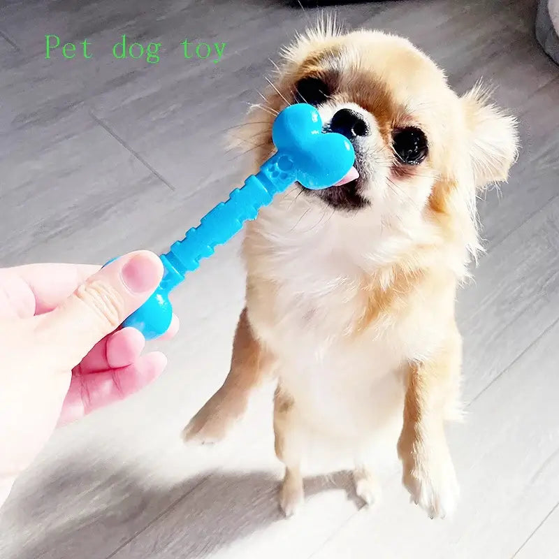Pet dog toys, interactive, bite resistant, relieve boredom, clean teeth, rubber bones, rubber rings, suitable for small dogs.