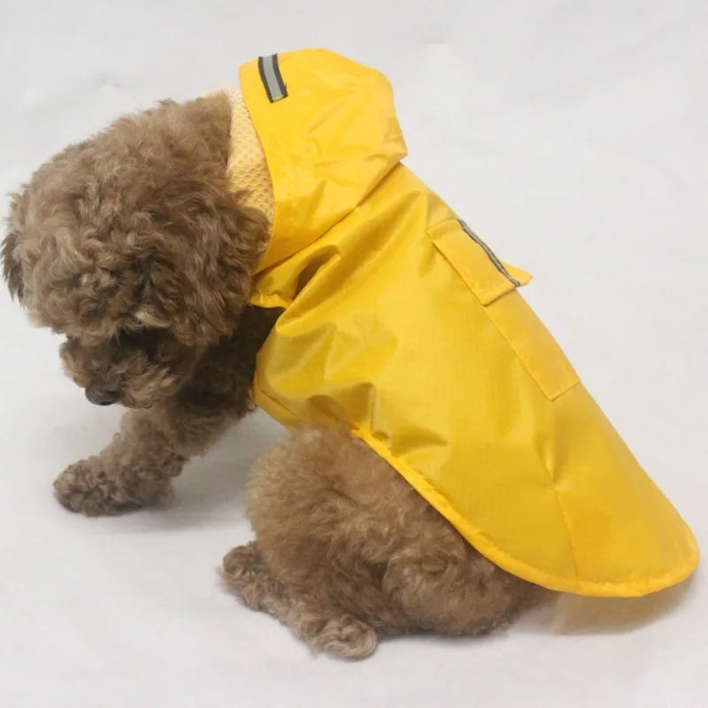 S4d2a312876e840a9b6b22feb68e87256R_9976d9df-b395-4b28-9ec2-085afcc22ee9 - bestdoggylife.shop