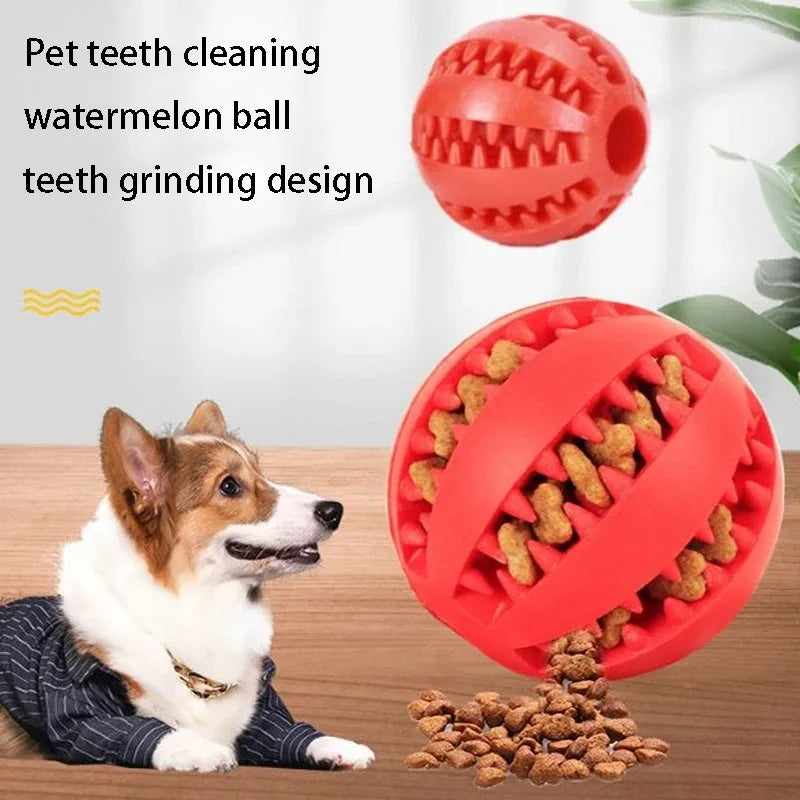 Natural rubber dog chew toy for teeth cleaning, durable interactive treat ball for dogs with bite-resistant elasticity
