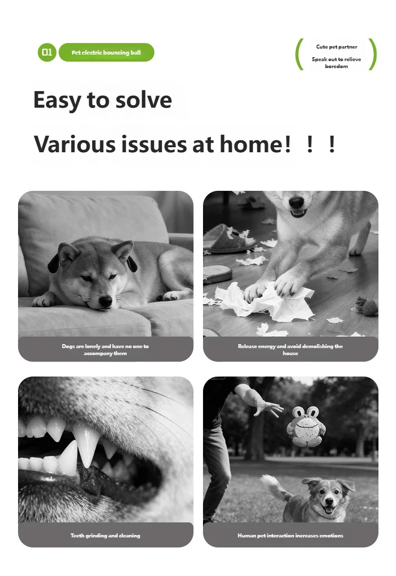 S4e30d12c15e84a7782acc548d3432d3cv - bestdoggylife.shop