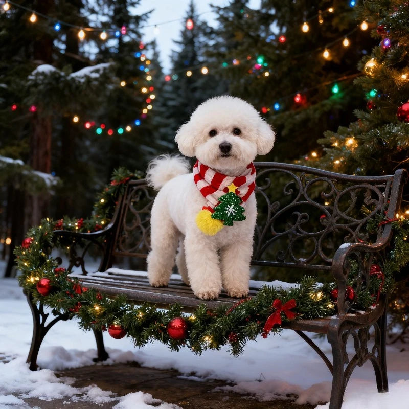 White fluffy dog in festive scarf on decorated bench with Christmas lights outdoors in winter.