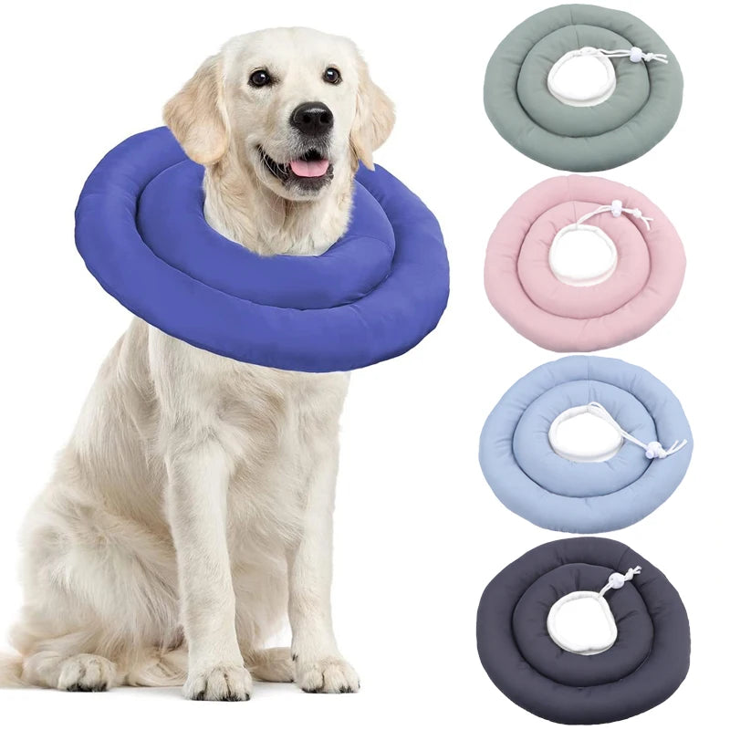 S51e6662915c44f1fa70a151b2a925708e - bestdoggylife.shop