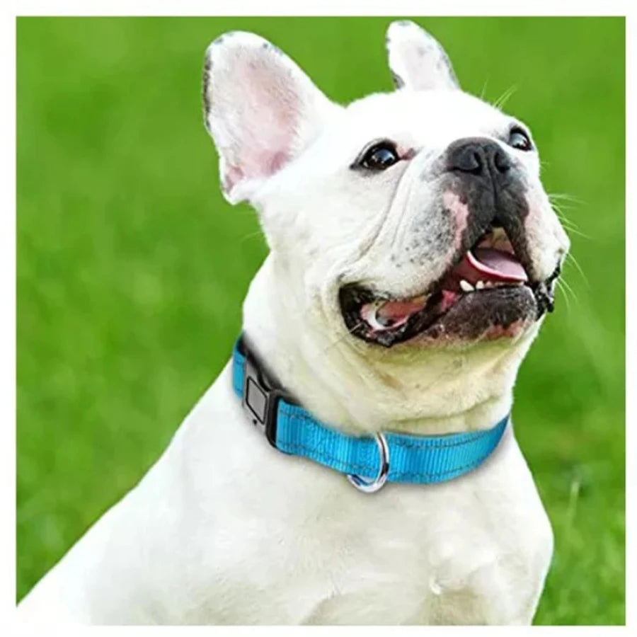 Dog Collar Nylon Soft Padded Adjustable Breathable Durable Comfortable Reflective Pet Collar for Small Medium Large Dog Bone Tag.