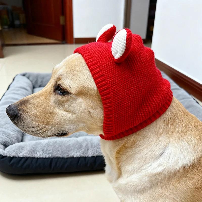 Yellow dog wearing red knit hat with white ears, sitting by a gray pet bed indoors