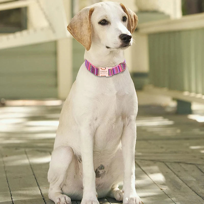 Pet Dog Collar Nylon Personalized Necklace Dog Supplies Free Engraving Name for Small Medium Large Dogs Adjustable Dog Collars