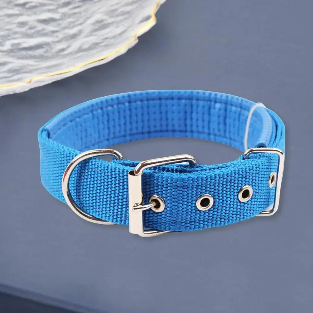 Blue adjustable nylon dog collar with metal buckle and traction ring for durable pet training and daily wear