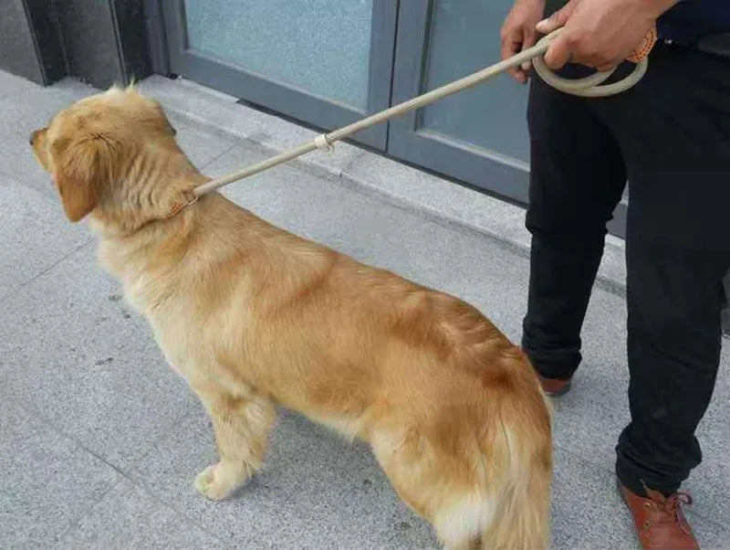 S561d444c0d6a468ca8ecad144f7f80d3F - bestdoggylife.shop