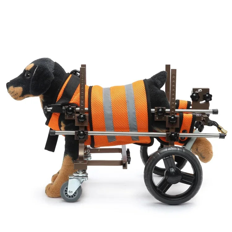 S56436c28ba0a4b1da572644806a5ae5cl - bestdoggylife.shop