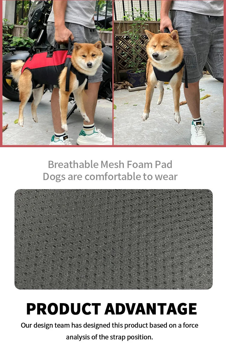 dog backpack carrier for hiking and biking breathable adjustable pet backpack with belly support for medium dogs