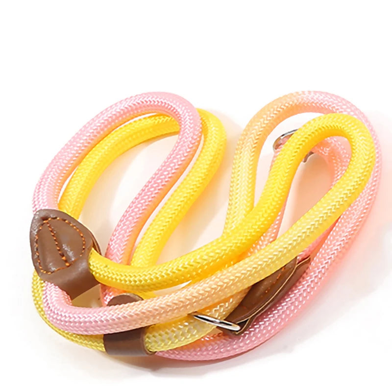 S580ed309afa4414f971c9d443e2badb34 - bestdoggylife.shop
