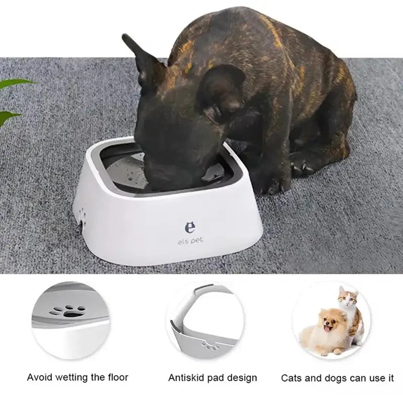 no-spill dog water bowl for dogs drinking from a splash-proof slow feeder bowl with anti-skid base
