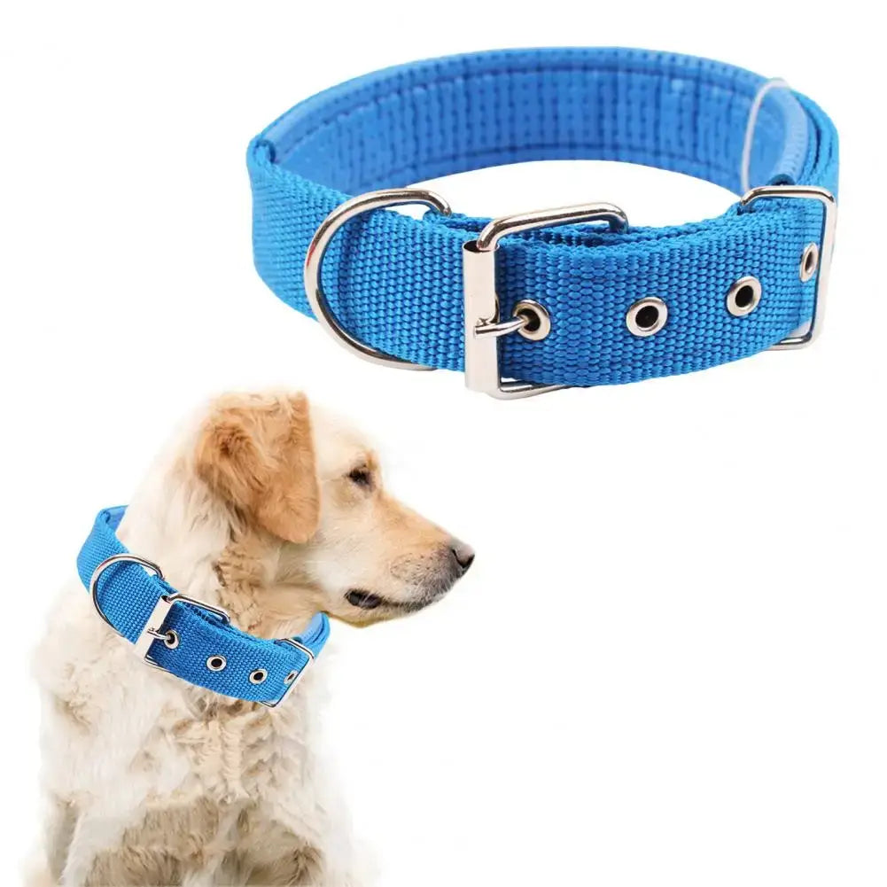 adjustable nylon dog collar blue, durable pet neck strap with traction ring for dogs