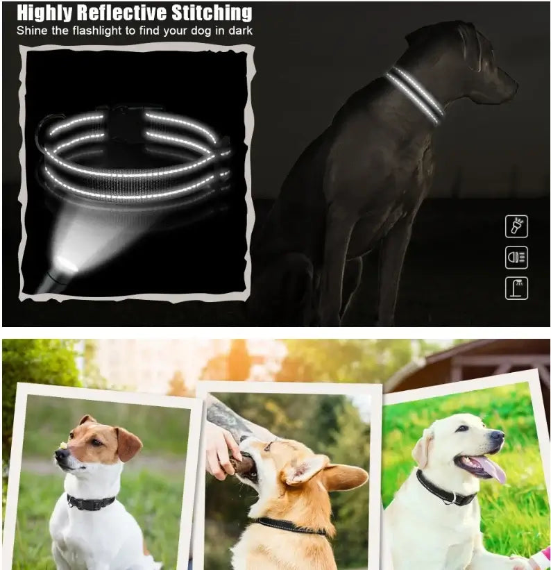 Dog Collar Nylon Soft Padded Adjustable Breathable Durable Comfortable Reflective Pet Collar for Small Medium Large Dog Bone Tag