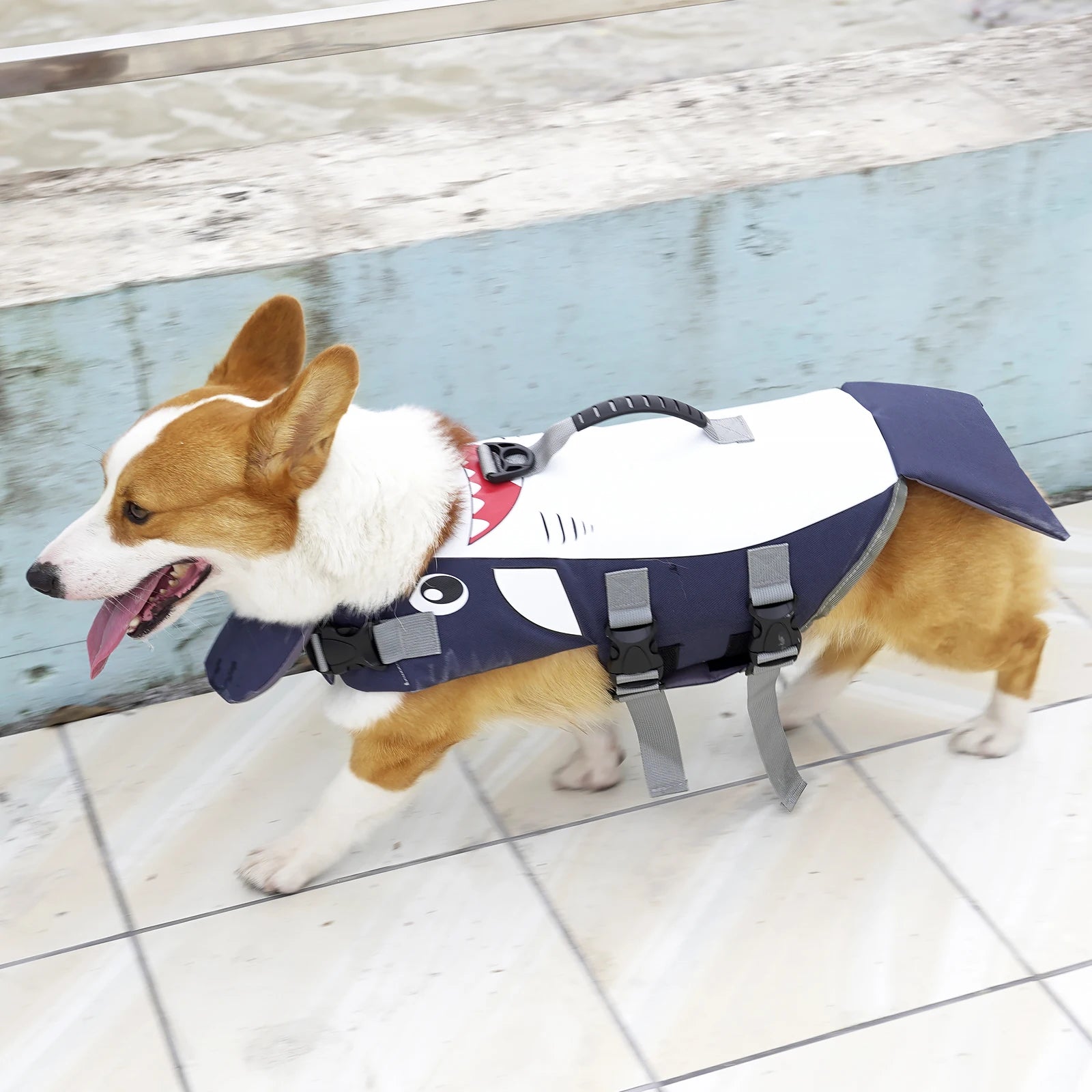 shark dog life jacket for corgi, reflective adjustable pet flotation vest with rescue handle for swimming safety
