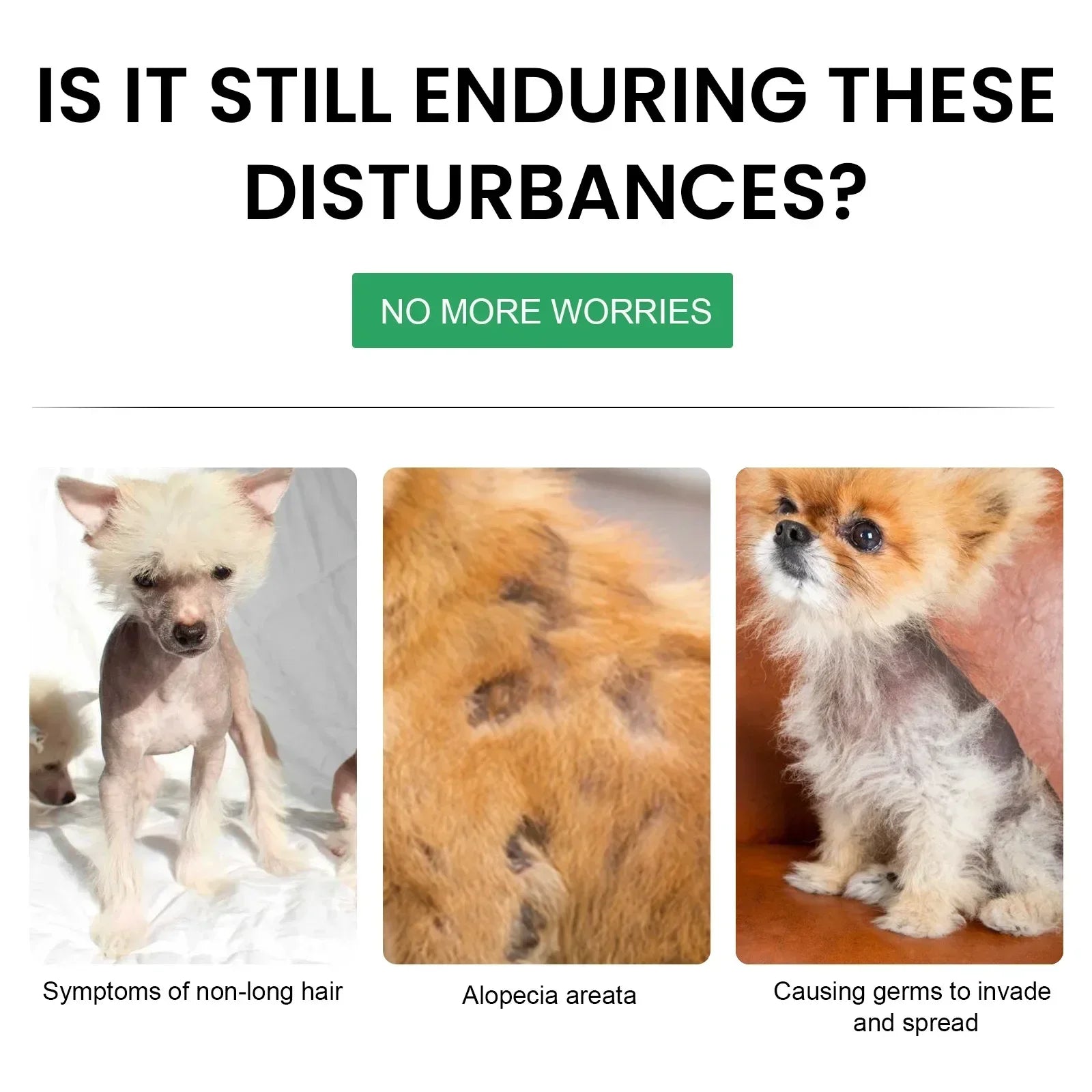 dog hair loss supplement for pets, safe non-toxic treatment for bald spots, promotes hair growth