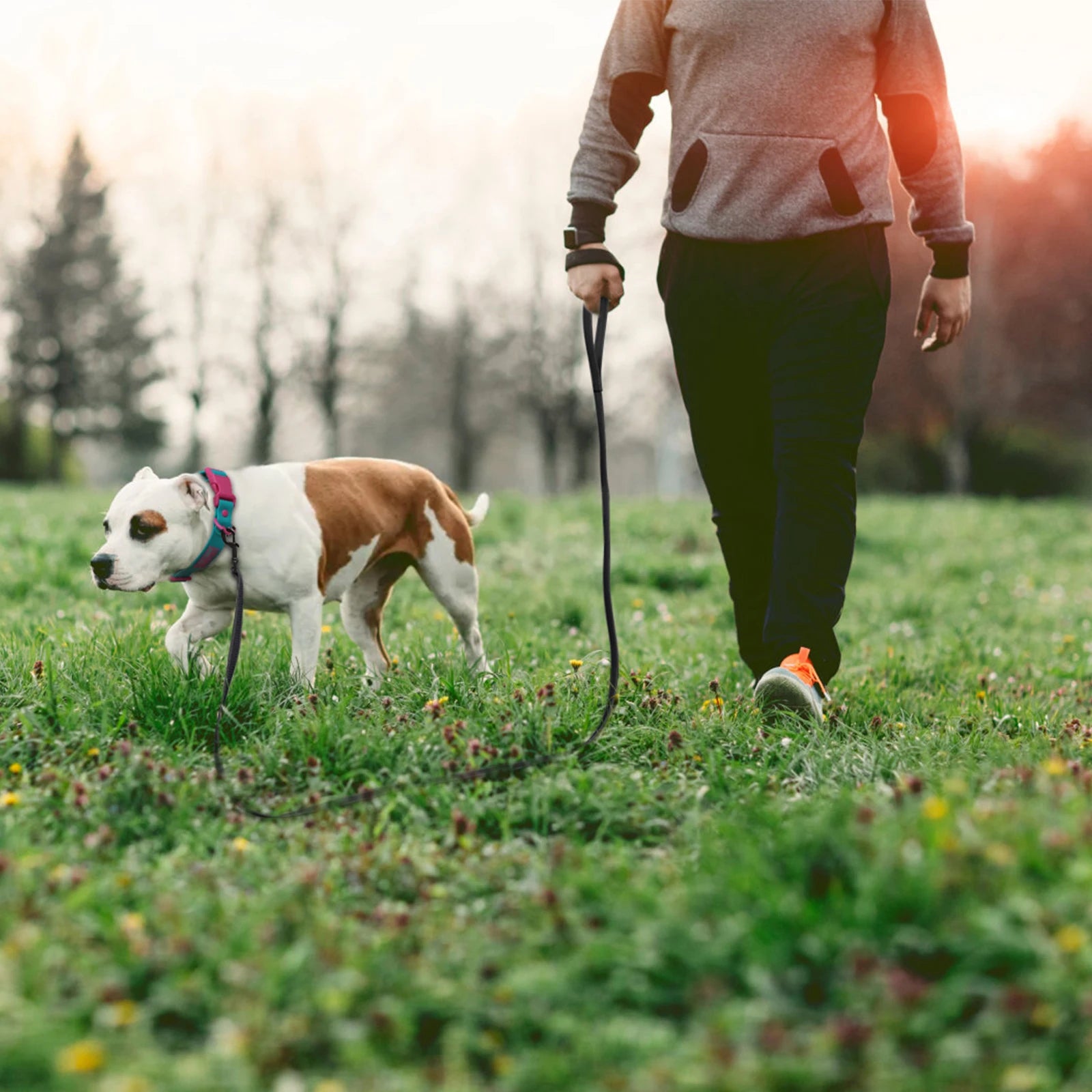 Person walking a dog outdoors with a long dog training leash for easy, controlled training and convenient daily walks
