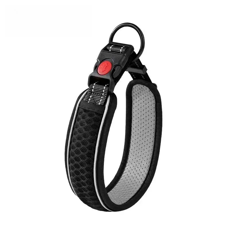 Black dog collar with padded mesh lining, red safety buckle, and leash ring for puppy walking