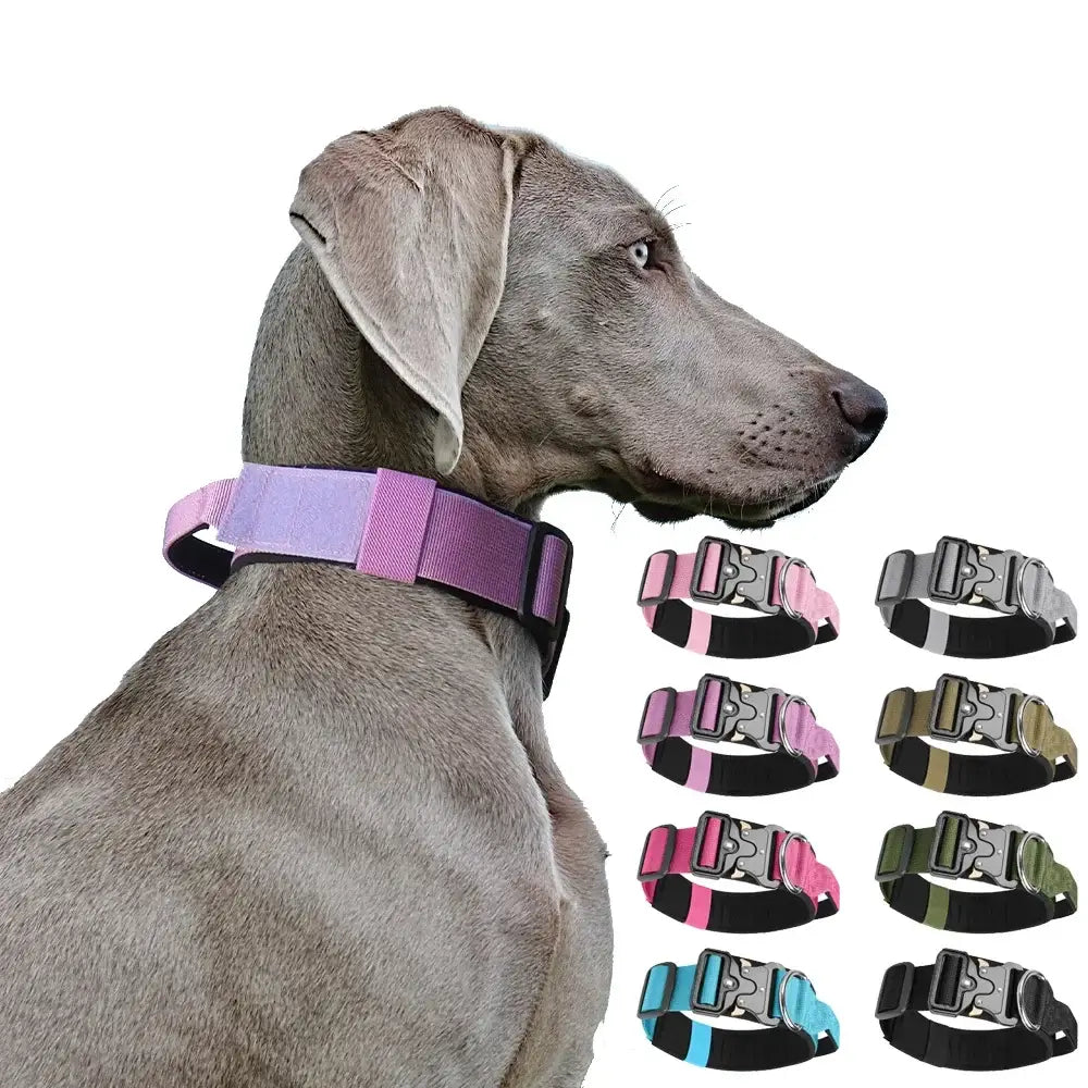 tactical dog collar for medium to large dogs, padded adjustable collar for training and control, 8 color options